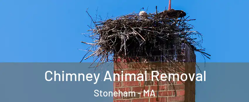 Chimney Animal Removal Stoneham - MA