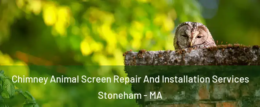  Chimney Animal Screen Repair And Installation Services Stoneham - MA