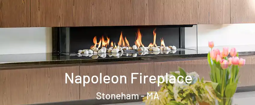  Napoleon Fireplace Stoneham - MA